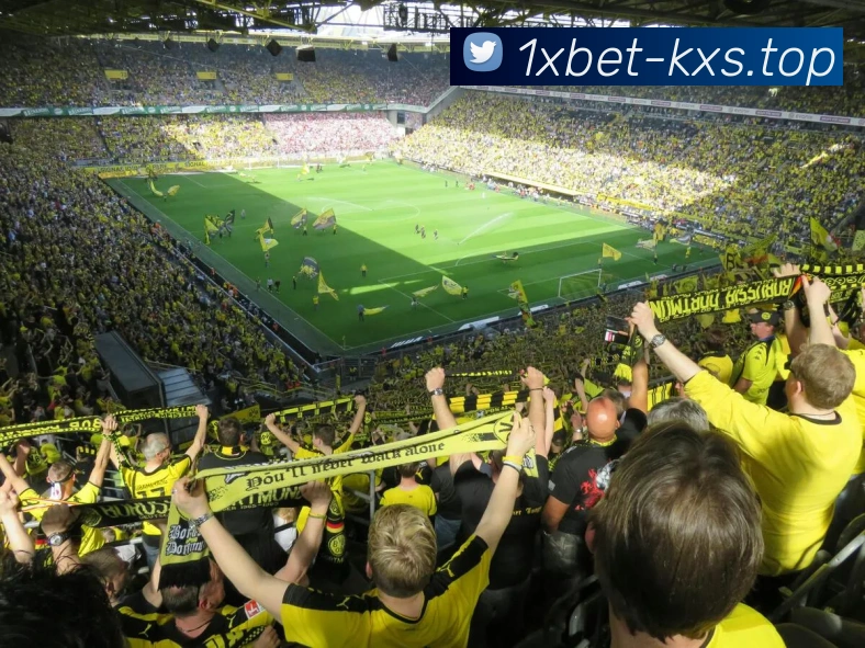 1xbet官网平台生态图